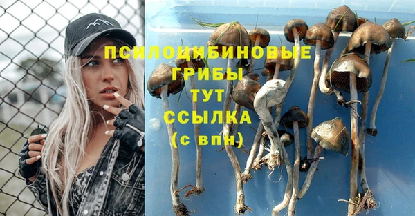 МДПВ Кукмор