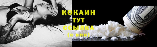 дживик Кулебаки