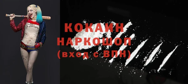 дживик Кулебаки