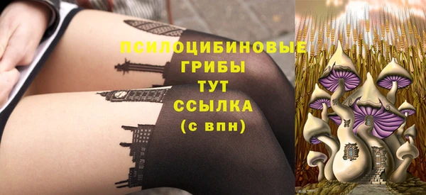 молекула духа Куйбышев