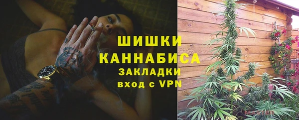 дживик Кулебаки