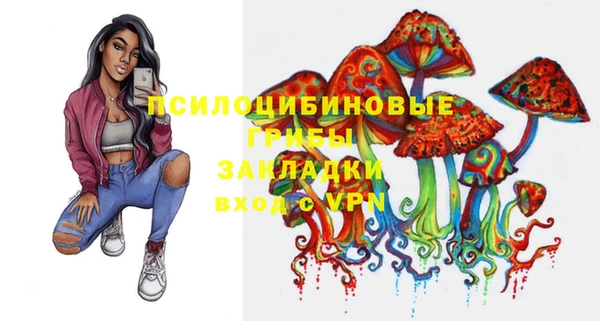 МДПВ Кукмор