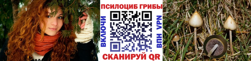 купить наркотики сайты Юрюзань Псилоцибиновые грибы прущие грибы